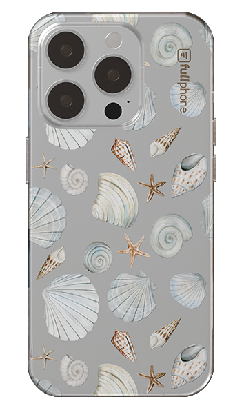 Capa Conchas02